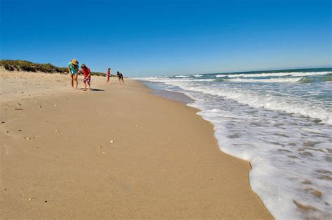 playalinda beach nudes|Playalinda Beach in Titusville, FL (2020 Photos, Reviews, Info,。